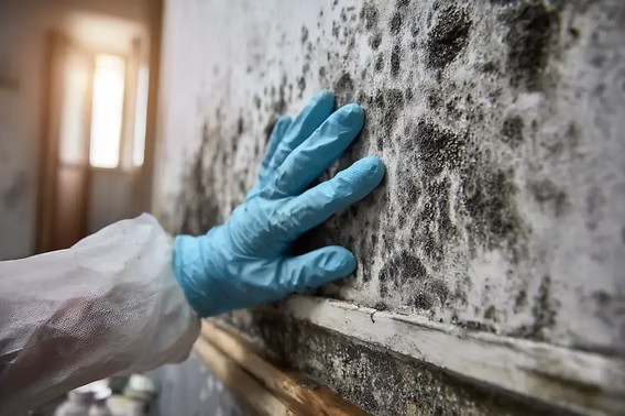 Technician in PPE inspecting mold growth on a wall in Staten Island