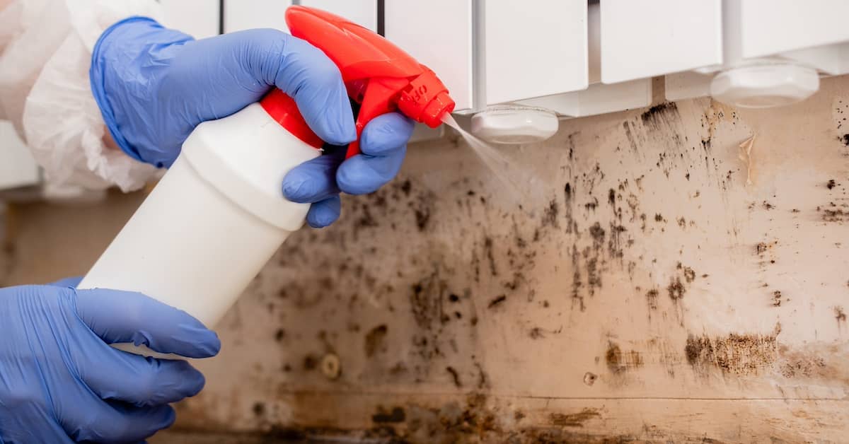 Restoration technician treating mold damage at a property in the Staten Island service area